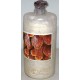 Micelio fresco di funghi Ganoderma lucidum bottiglia 2,5LT